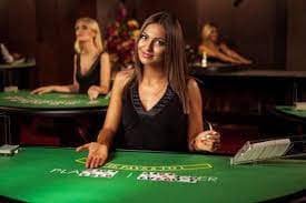 Dashboard ringbet88 slot menampilkan tier loyalitas dan riwayat bonus mingguan